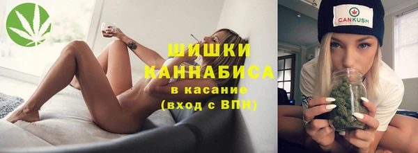 гашиш Богданович