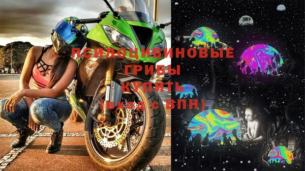 гашиш Богданович