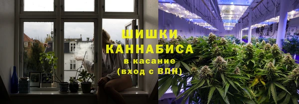 гашиш Богданович